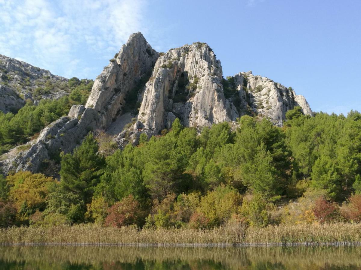 Guesthouse Villa Domenico Lozovac Zewnętrze zdjęcie